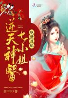 绝世丑妃：逆天神医七小姐